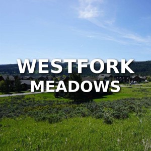Westfork Meadows