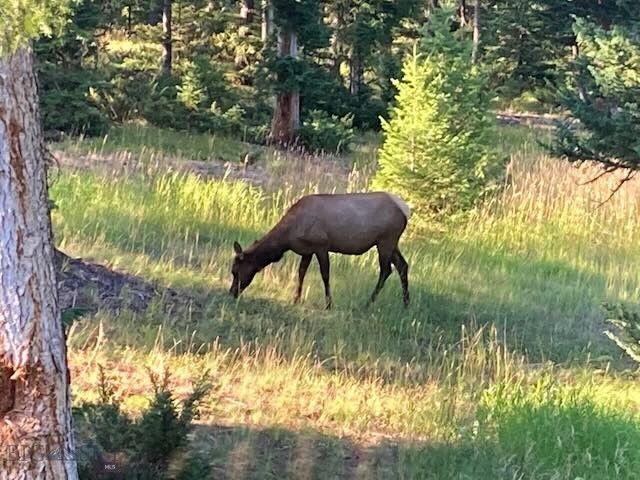 1055 Skywood Road, Big Sky MT 59716