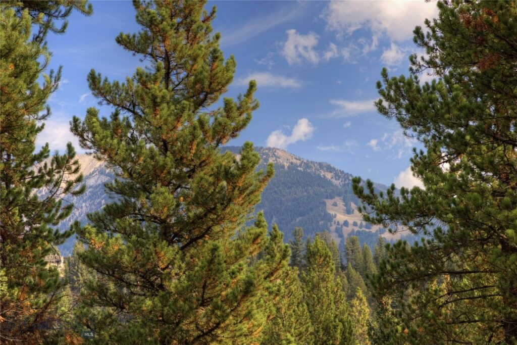 108 Nordic Lane, Big Sky MT 59716