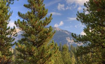 108 Nordic Lane, Big Sky MT 59716