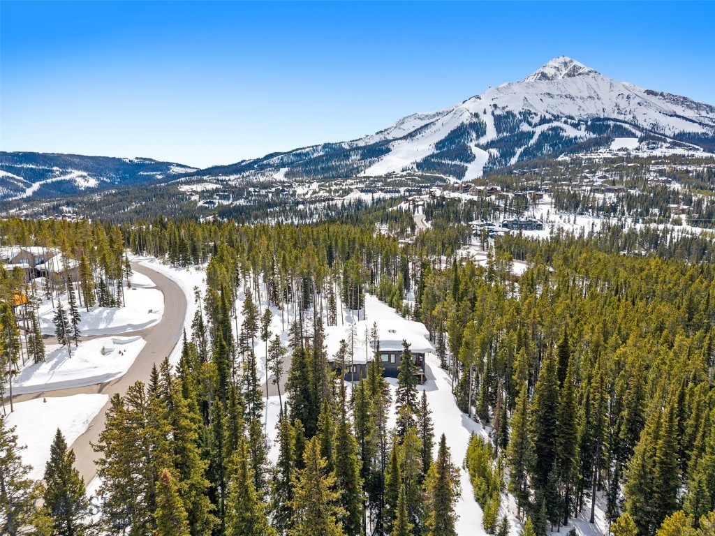 11 Speaking Eagle, Big Sky MT 59716