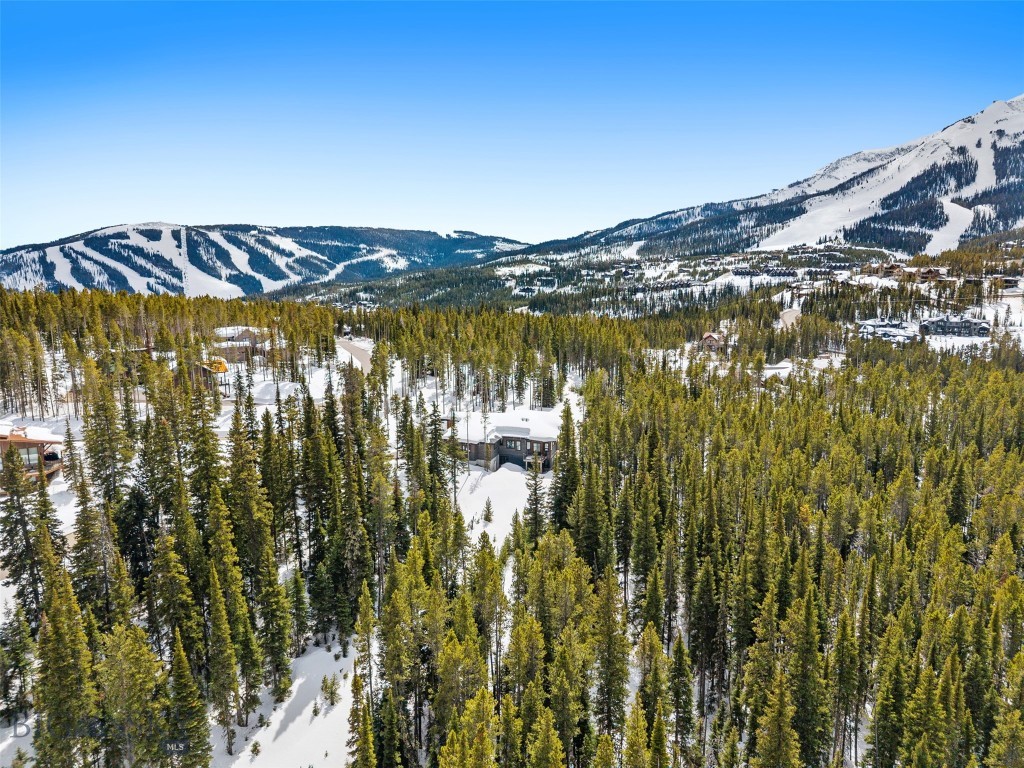 11 Speaking Eagle, Big Sky MT 59716