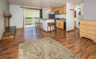 119 Spruce Cone Drive, Big Sky MT 59716