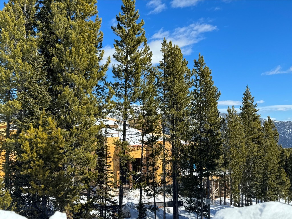 1195 EAGLE VIEW Trail, Big Sky MT 59716