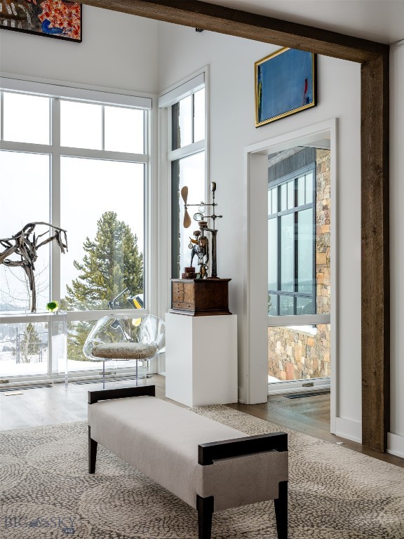 1200 Towering Pines, Big Sky MT 59730