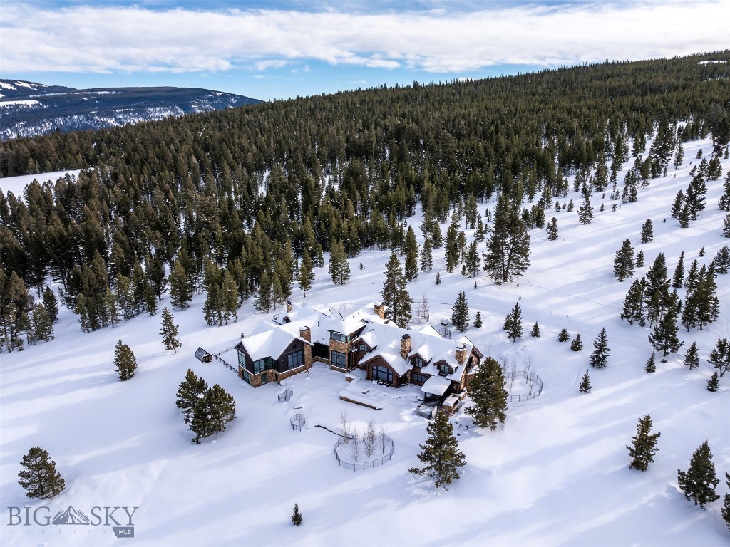 1200 Towering Pines, Big Sky MT 59730
