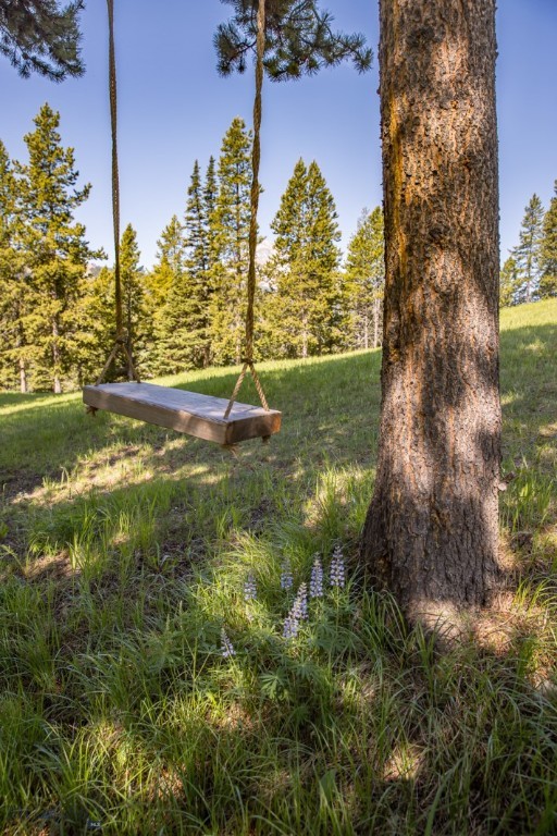 121 Old Toby Road, Big Sky MT 59716