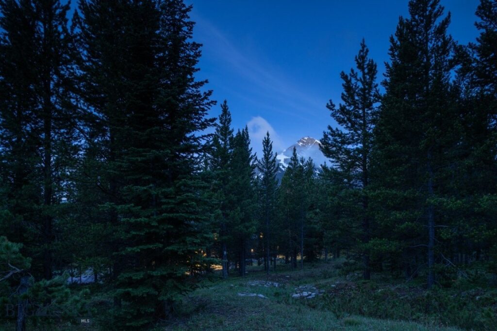 13 Little Plume, Big Sky MT 59716