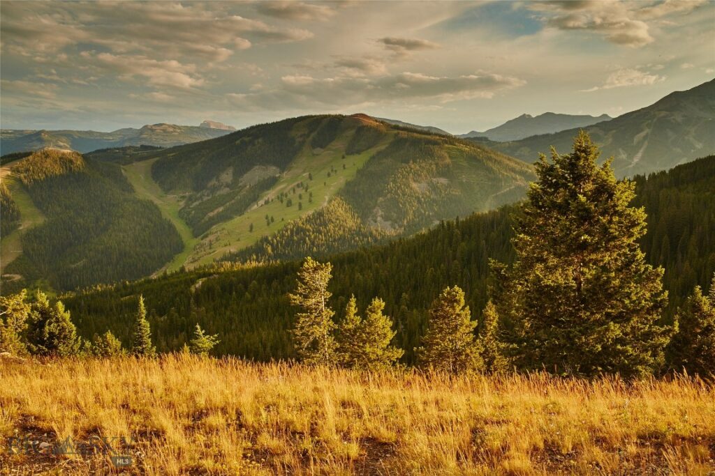 1320 Old Toby Road, Big Sky MT 59716