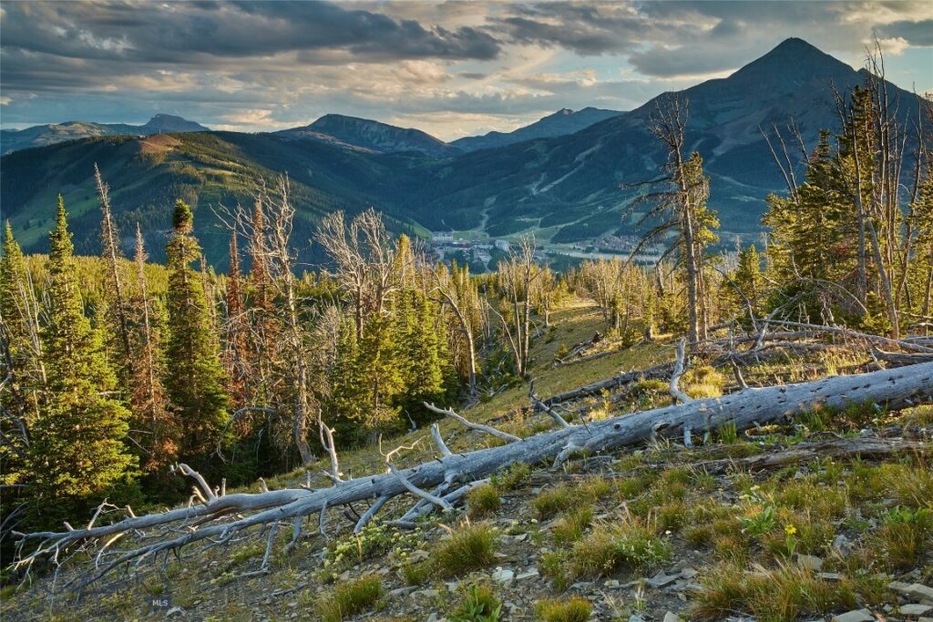 1320 Old Toby Road, Big Sky MT 59716