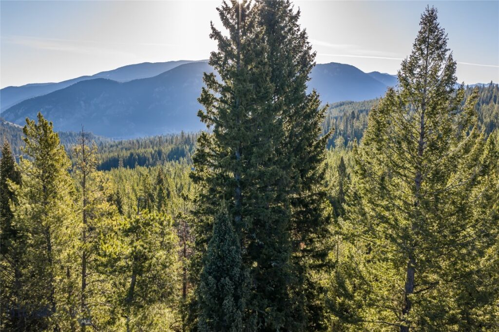 1670 Michener Creek, Big Sky MT 59716