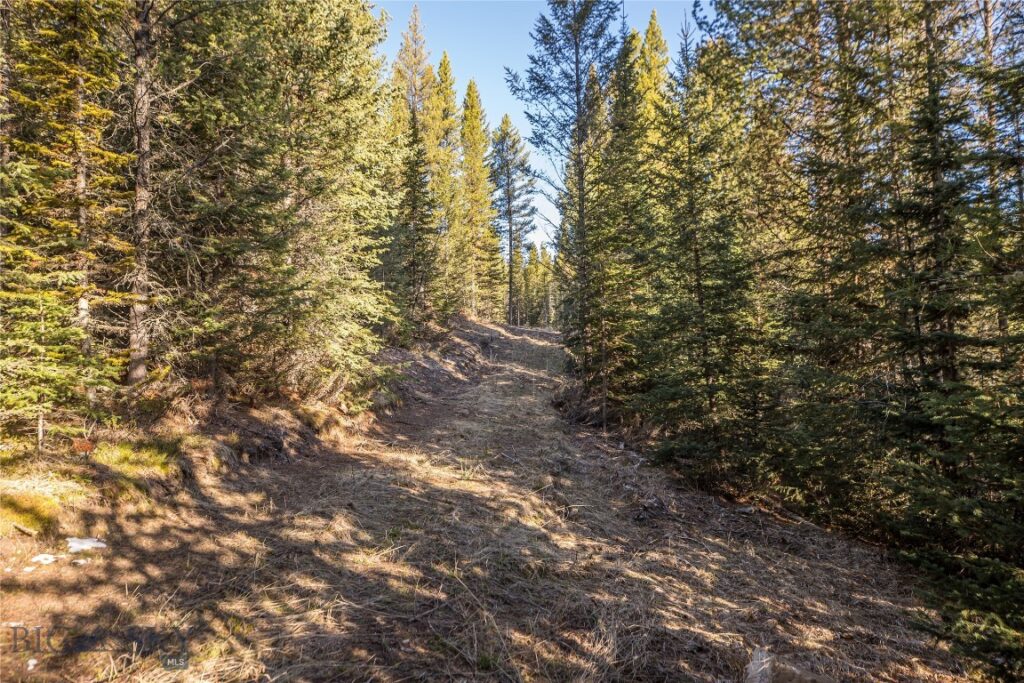 1670 Michener Creek, Big Sky MT 59716