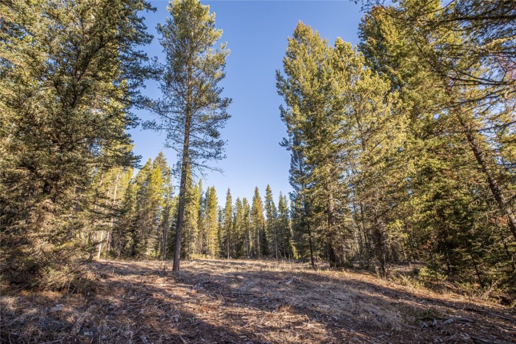 1670 Michener Creek, Big Sky MT 59716