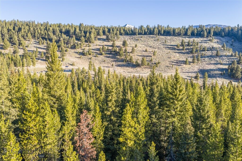 1670 Michener Creek, Big Sky MT 59716