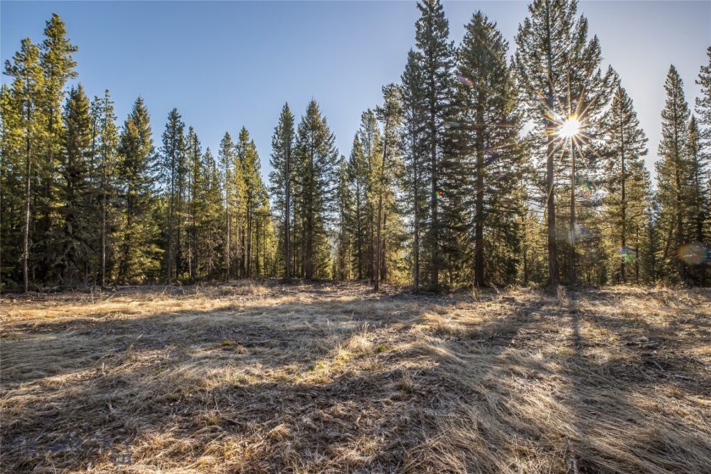 1670 Michener Creek, Big Sky MT 59716