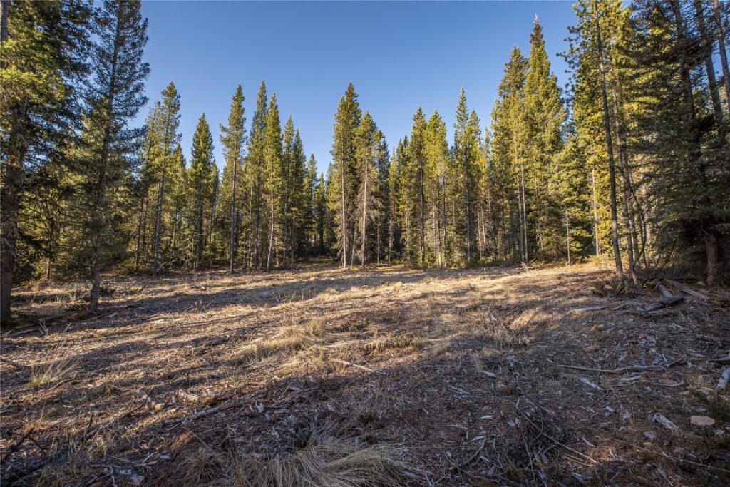 1670 Michener Creek, Big Sky MT 59716
