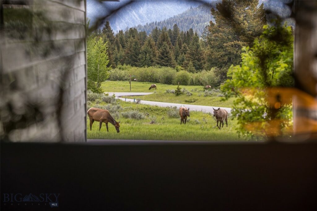 17 Chief Joseph Trail, Big Sky MT 59716