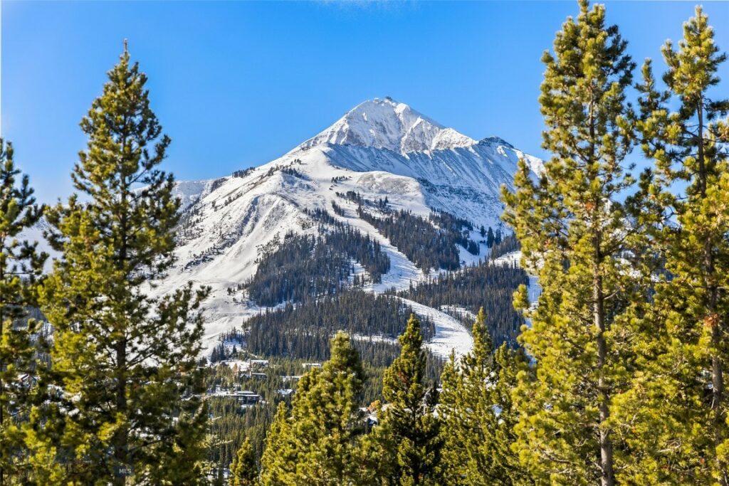 17 Swift Bear, Big Sky MT 59716