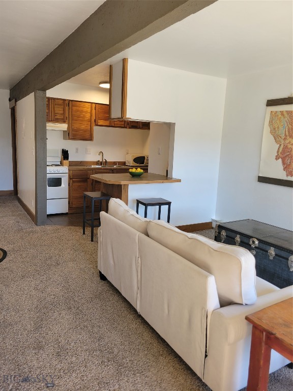 2025 Little Coyote Road, Big Sky MT 59716
