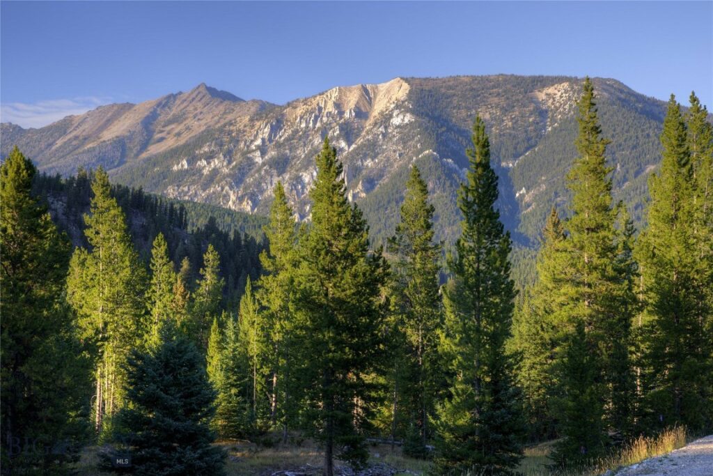 208 Outlook Trail, Big Sky MT 58716
