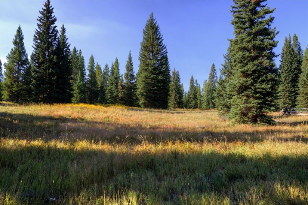 208 Outlook Trail, Big Sky MT 58716