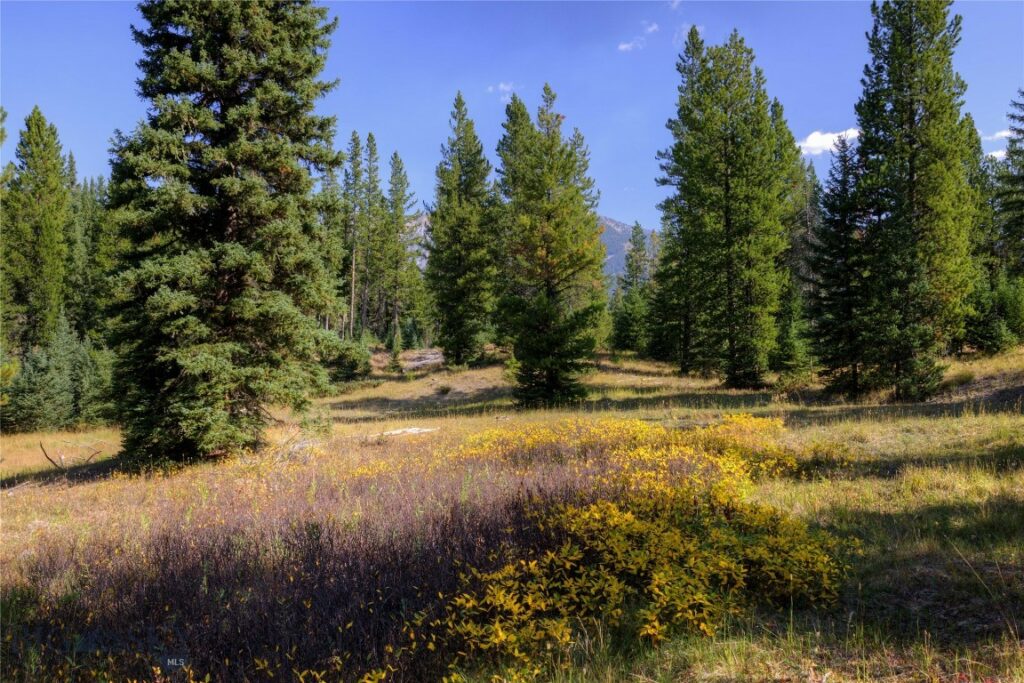 208 Outlook Trail, Big Sky MT 58716