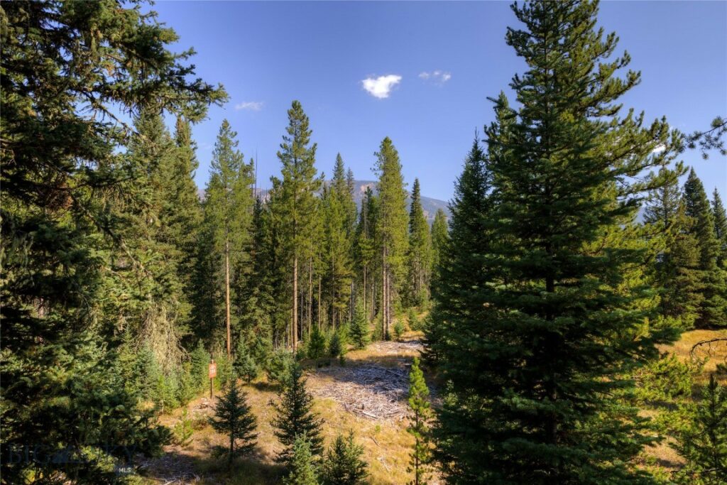 208 Outlook Trail, Big Sky MT 58716