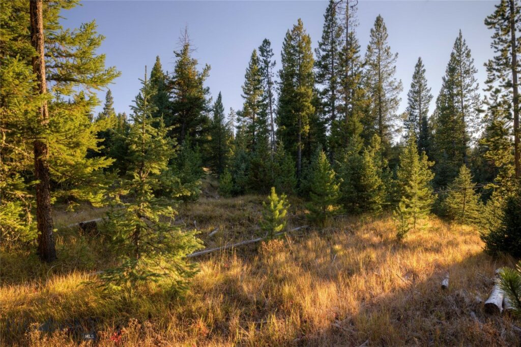 208 Outlook Trail, Big Sky MT 58716