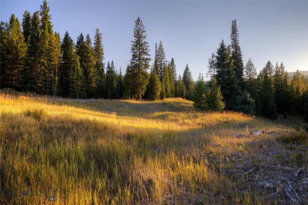 208 Outlook Trail, Big Sky MT 58716