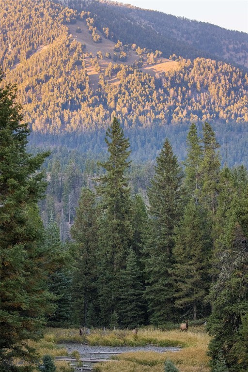 208 Outlook Trail, Big Sky MT 58716