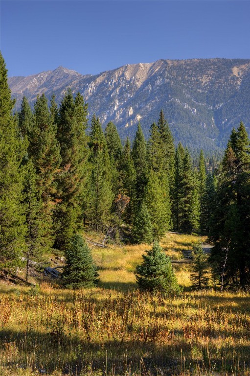 208 Outlook Trail, Big Sky MT 58716