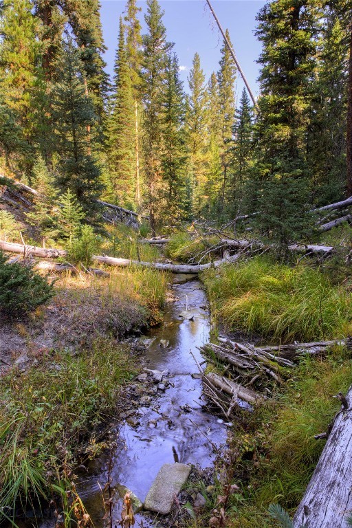 208 Outlook Trail, Big Sky MT 58716