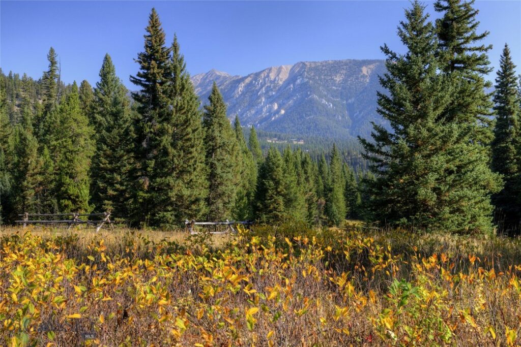 208 Outlook Trail, Big Sky MT 58716