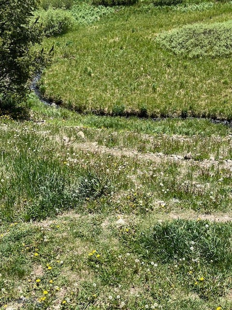 21 Sitting Bull Road, Big Sky MT 59716