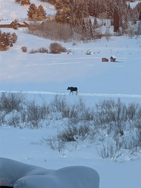 2225 Black Otter Road, Big Sky MT 59716