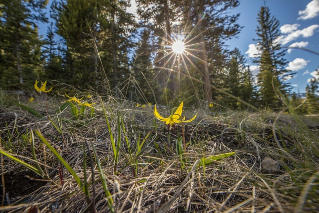 233 Wilderness Ridge, Big Sky MT 59716