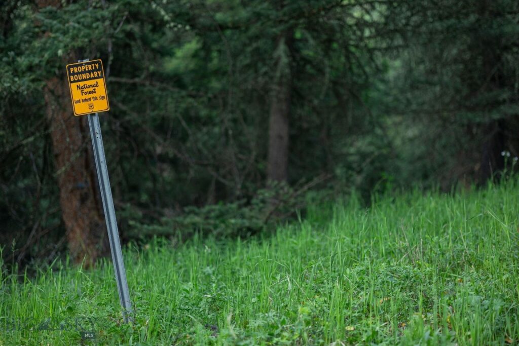 250 Pete’s Way, Big Sky MT 59730