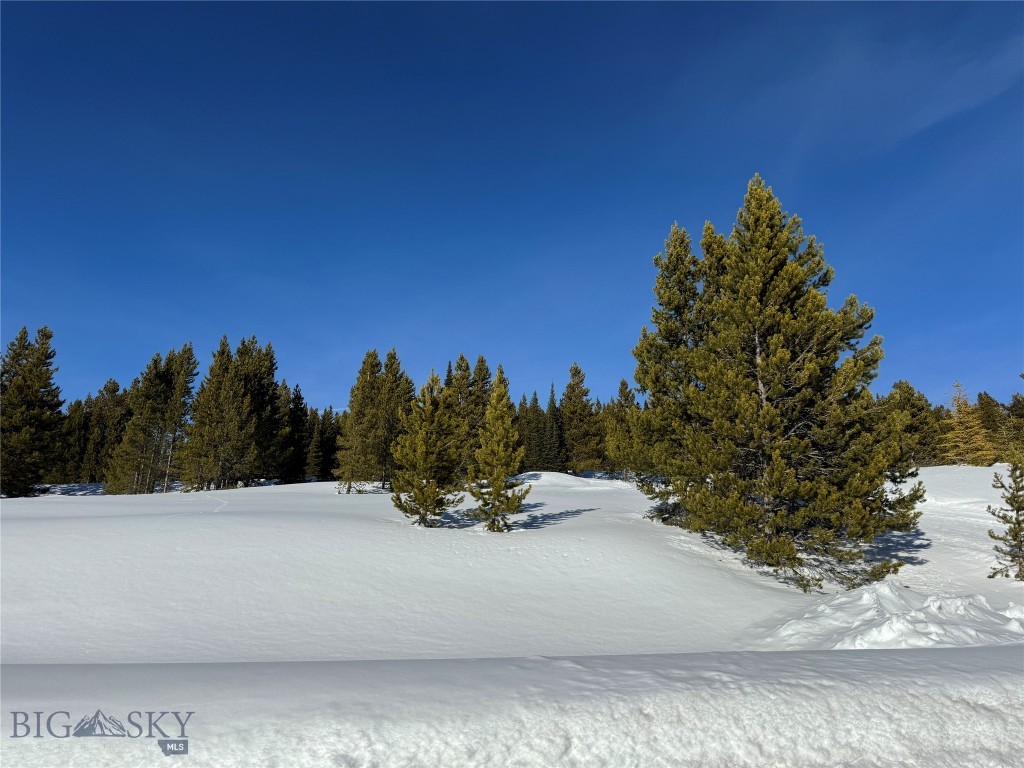 32 BEEHIVE BASIN ROAD LOT 235, Big Sky MT 59716