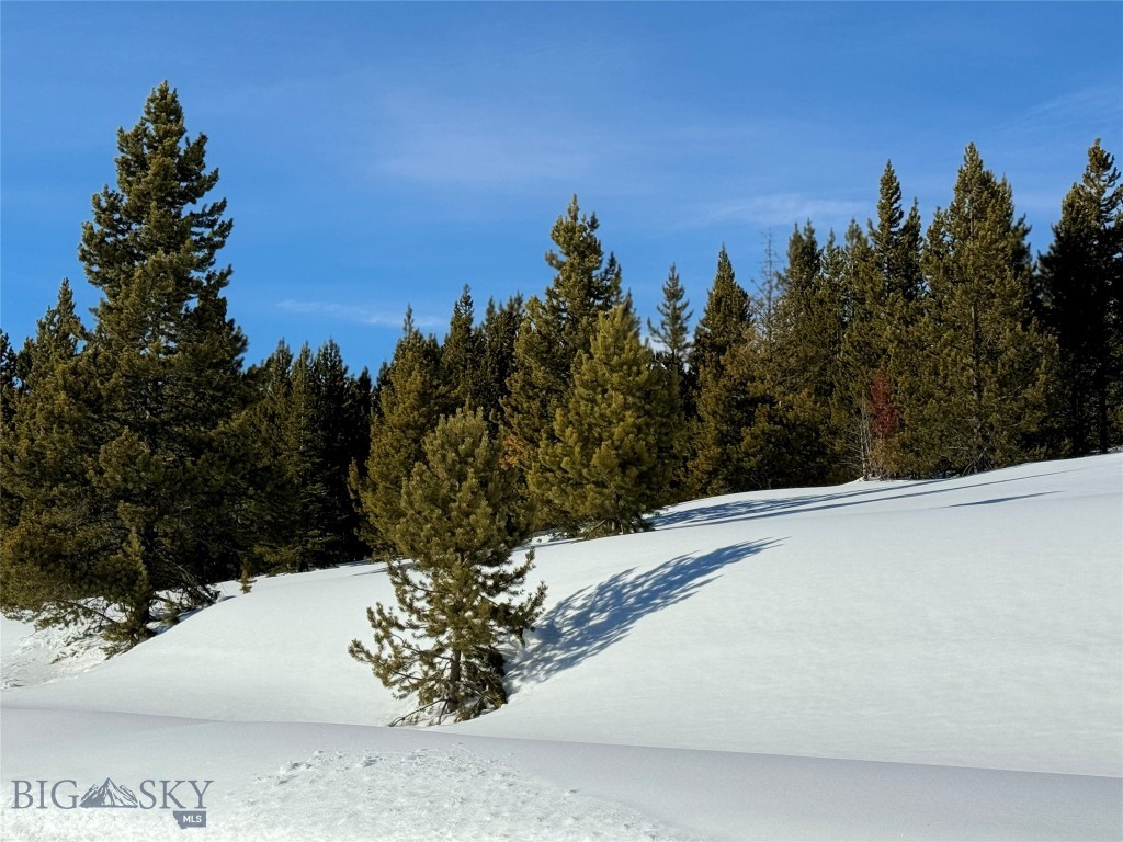 32 BEEHIVE BASIN ROAD LOT 235, Big Sky MT 59716