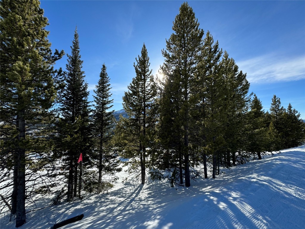 32 BEEHIVE BASIN ROAD LOT 235, Big Sky MT 59716