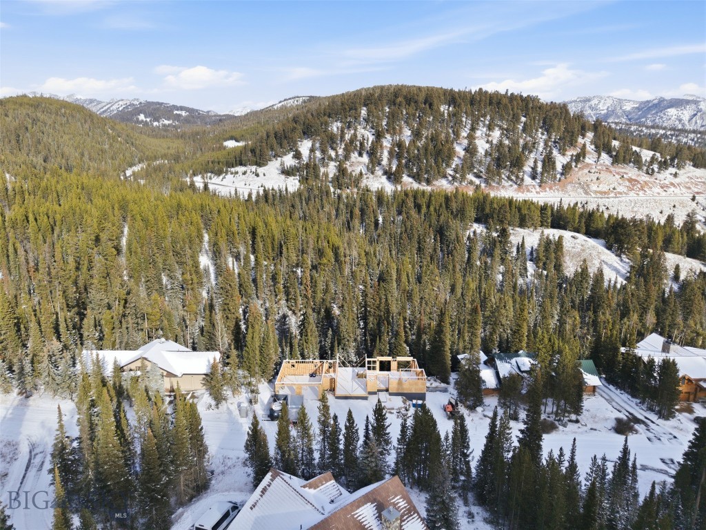 35 Low Dog Road, Big Sky MT 59716