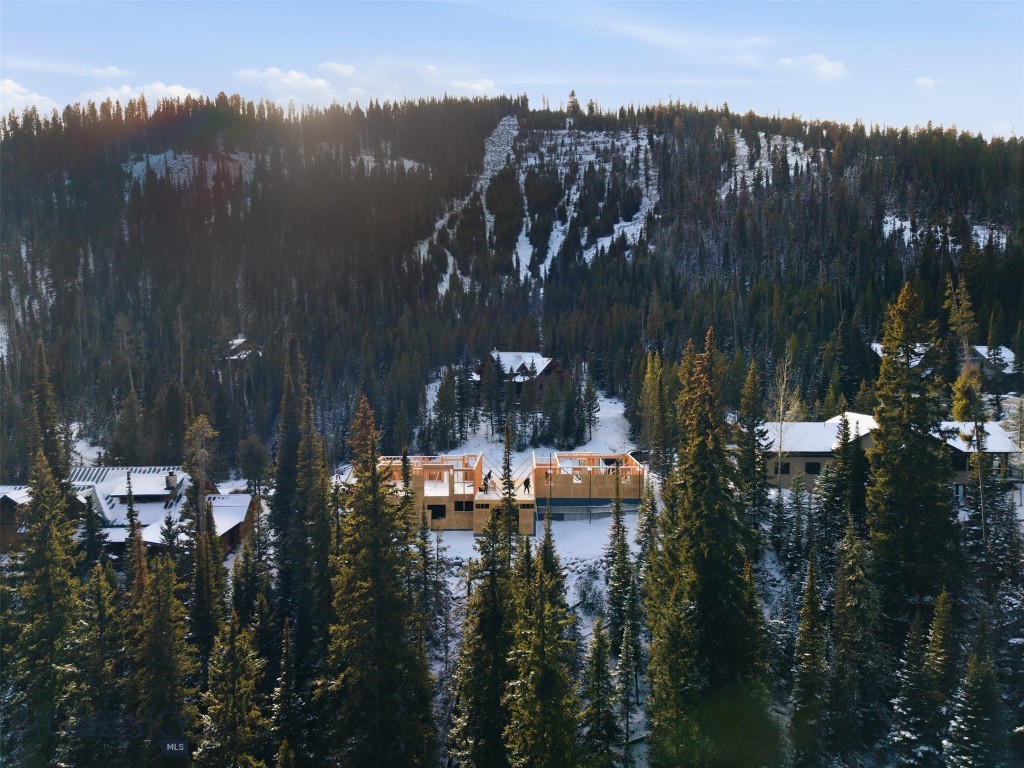 35 Low Dog Road, Big Sky MT 59716