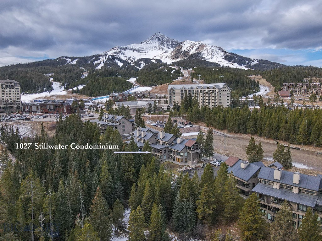 45 Turkey Leg Road, Big Sky MT 59716