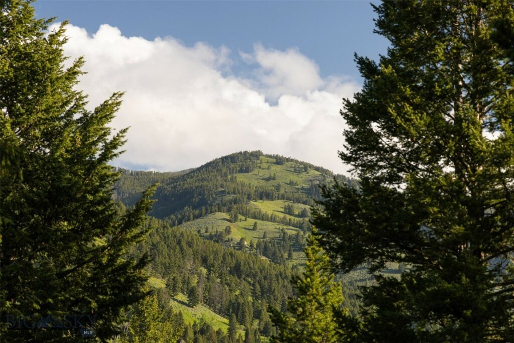 49824 Gallatin Road, Big Sky MT 59730