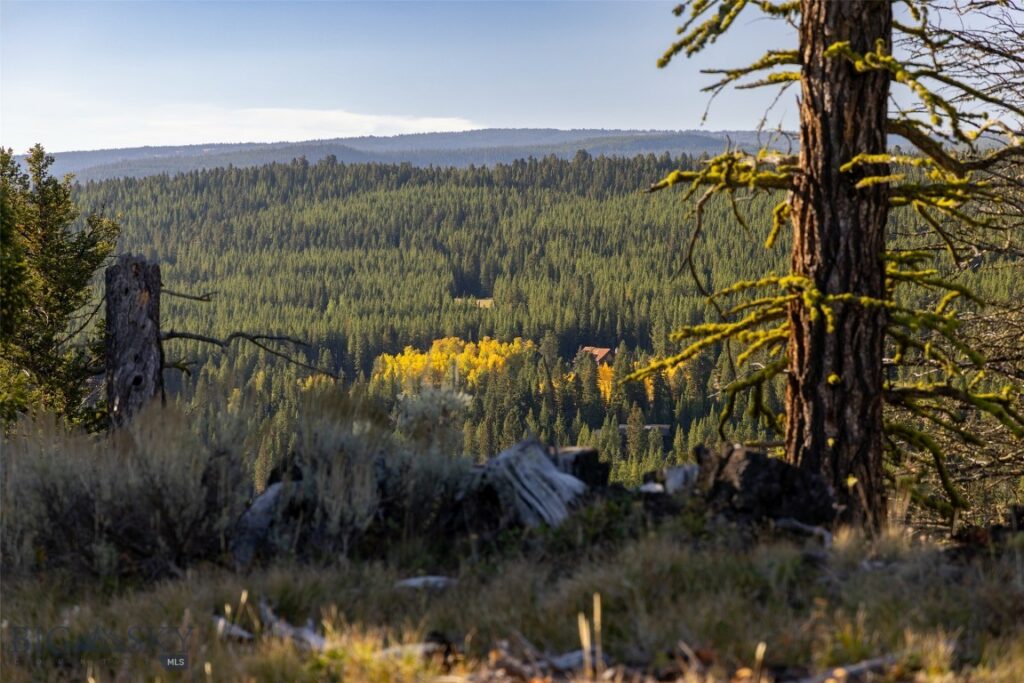 525 Fourpoint Road, Big Sky MT 59716