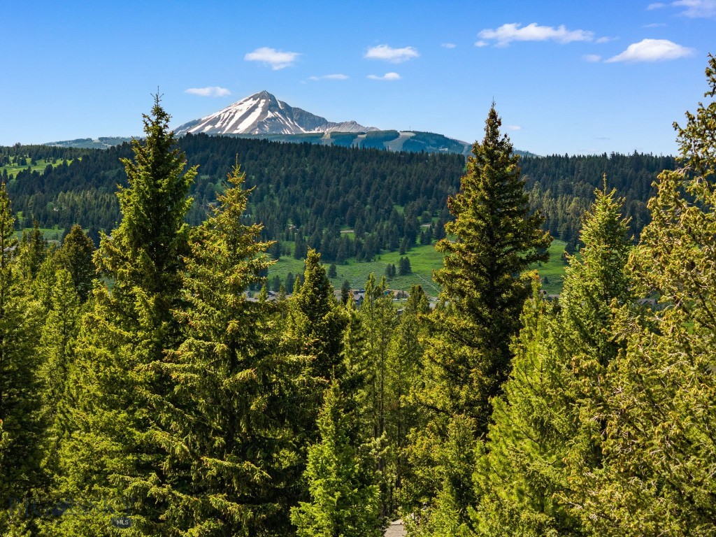 544 Grey Drake, Big Sky MT 59716