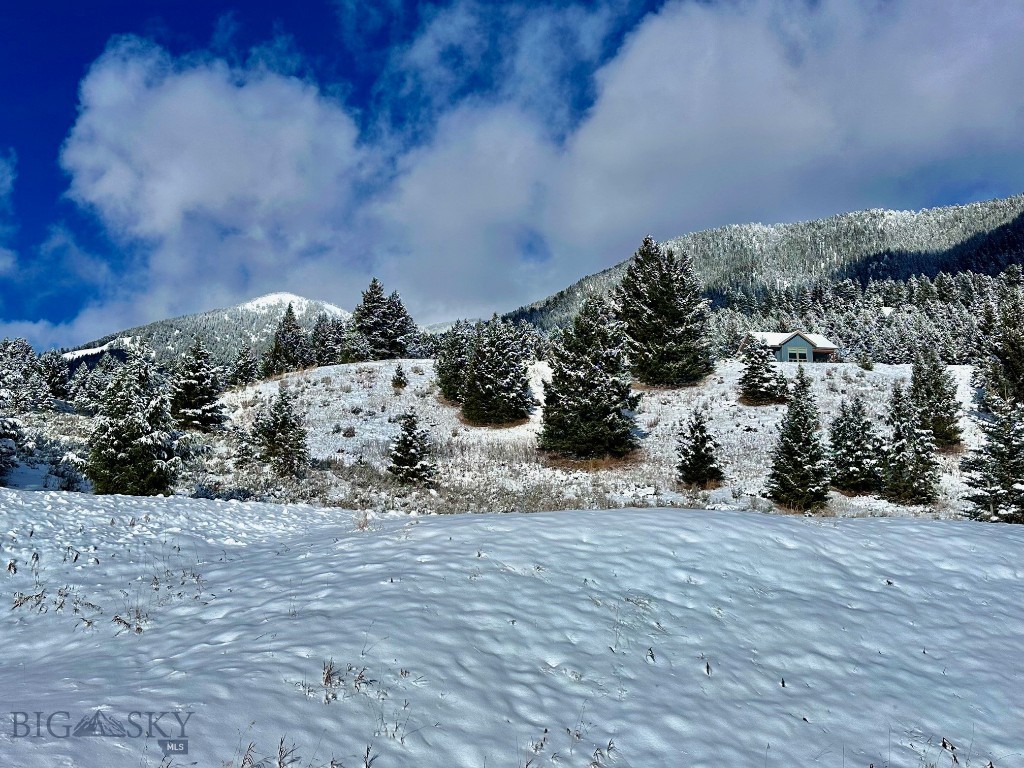 71 Sheffield Road, Big Sky MT 59716