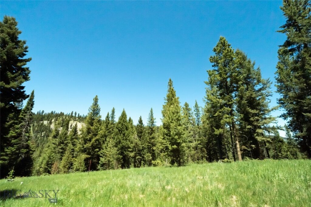 715 Colters Run Loop, Big Sky MT 59716