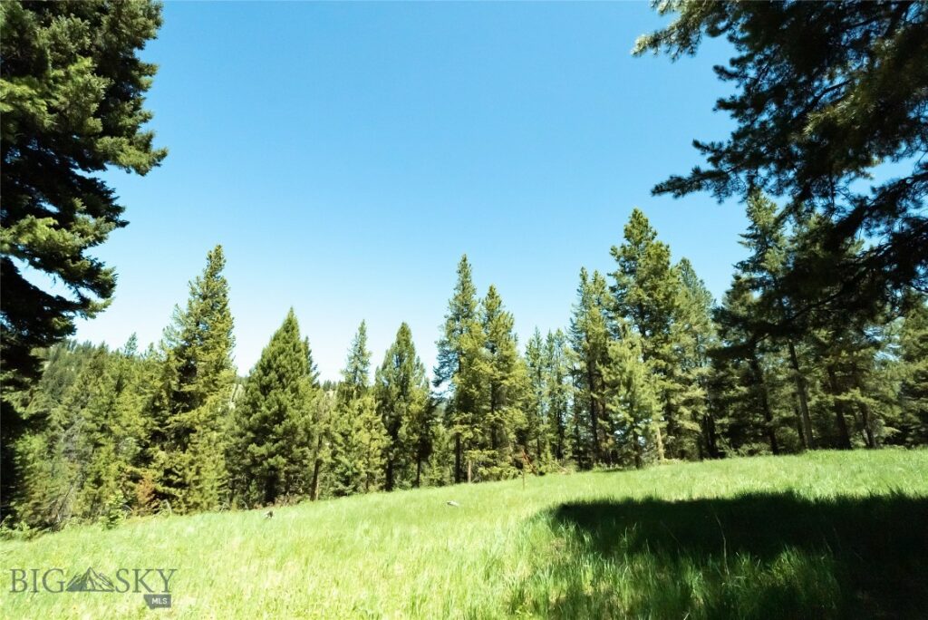 715 Colters Run Loop, Big Sky MT 59716