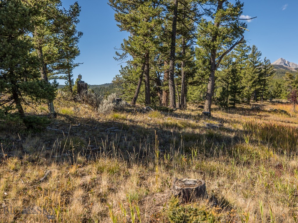 741 Antler Ridge Road, Big Sky MT 59716